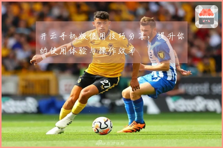 开云手机版使用技巧分享,提升你的使用体验与操作效率